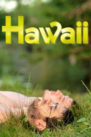 Havaí: Amor Sem Palavras (2013)