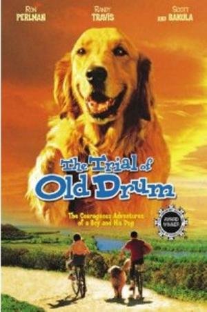 Meu Amigo Drum (2000)