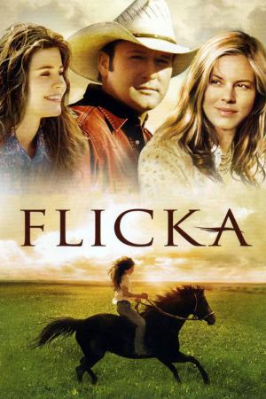 Flicka: Atreve-te a Sonhar (2006)
