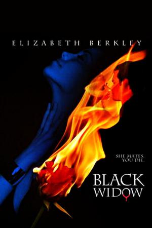 A Viúva Negra (2008)