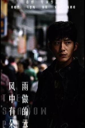 The Shadow Play (2018)