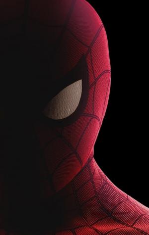 Fantasia Homem-Aranha De Volta ao Lar Tom Holland Traje Filme Adulto /  Infantil