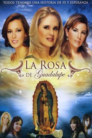A Rosa dos Milagres (2008)