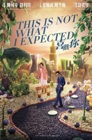 This Is Not What I Expected (2017)