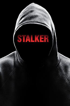 Stalker: Obsessão (2014)