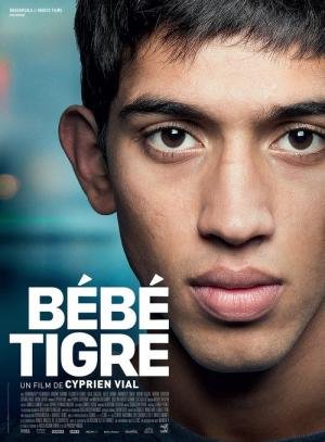 Jovem Tigre (2014)