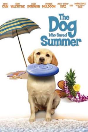 O Cachorro que Salvou o Verão (2015)
