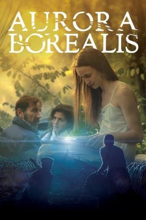 Aurora Boreal: Luzes do norte (2017)