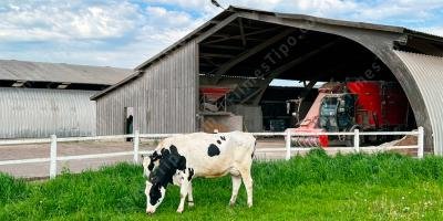 filmes sobre fazenda de animais