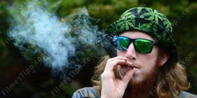 filmes sobre fumando erva