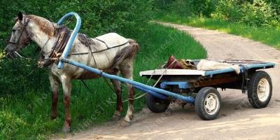 filmes sobre cavalo e carroça