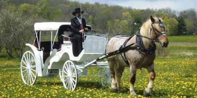 filmes sobre cavalo e carruagem filmes sobre cavalo e carruagem