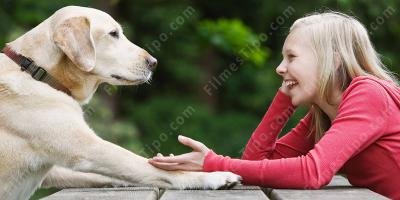 filmes sobre conversando com um cachorro