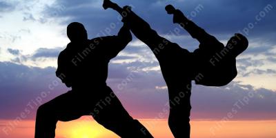 filmes sobre treinamento em artes marciais
