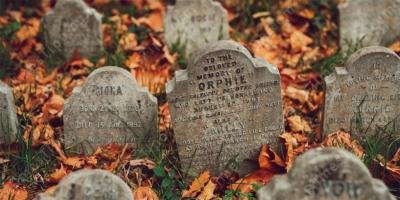 filmes sobre cemitério de animais de estimação