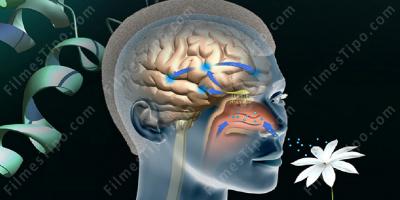 filmes sobre sentido de olfato
