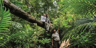 filmes sobre aventura na selva