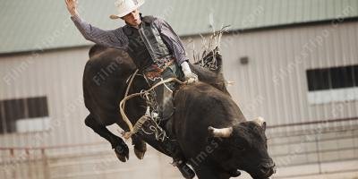 filmes sobre montar em touro