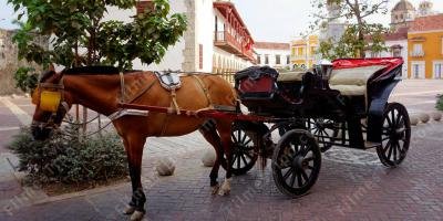filmes sobre carruagem de cavalos