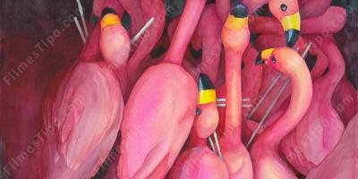 filmes sobre extravagância