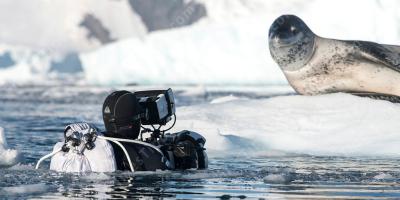 filmes sobre Documentário da natureza