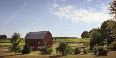 filmes sobre centro-oeste americano