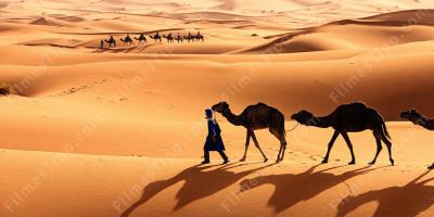 filmes sobre deserto do Saara