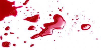 filmes sobre trilha de sangue filmes sobre trilha de sangue