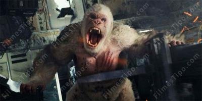 filmes sobre macaco assassino